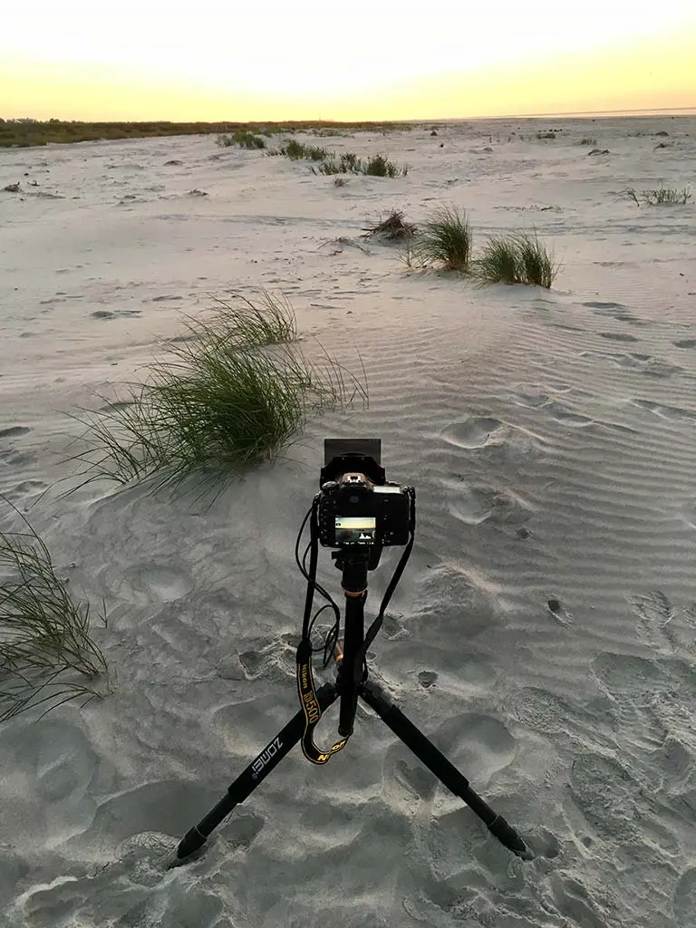 Beach sunrise photography tips from Fripp Island, South Carolina