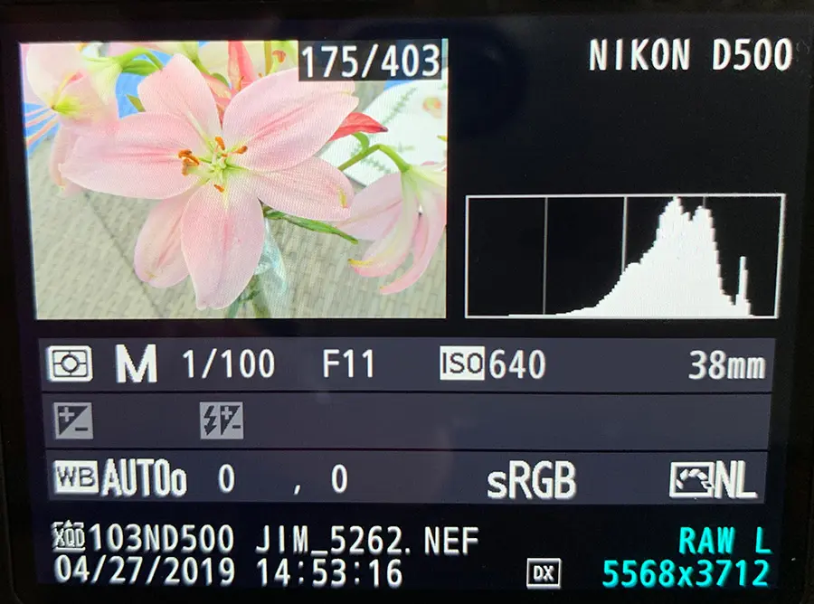 Histogram View On DSLR LCD Monitor Screen