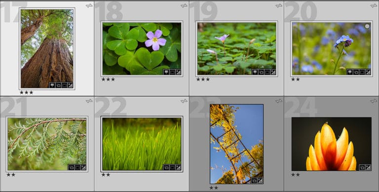 how-to-select-multiple-photos-to-export-in-lightroom