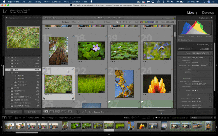 how to search multiple files with lightroom