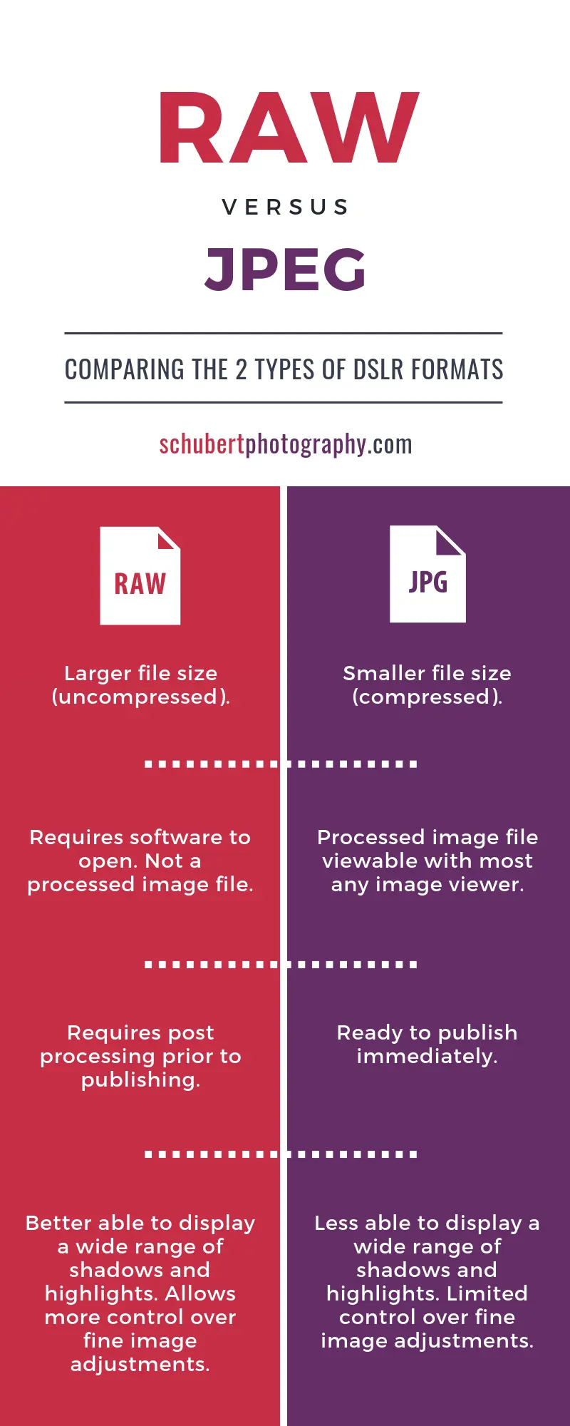 RAW versus JPEG Comparison Chart Infographic