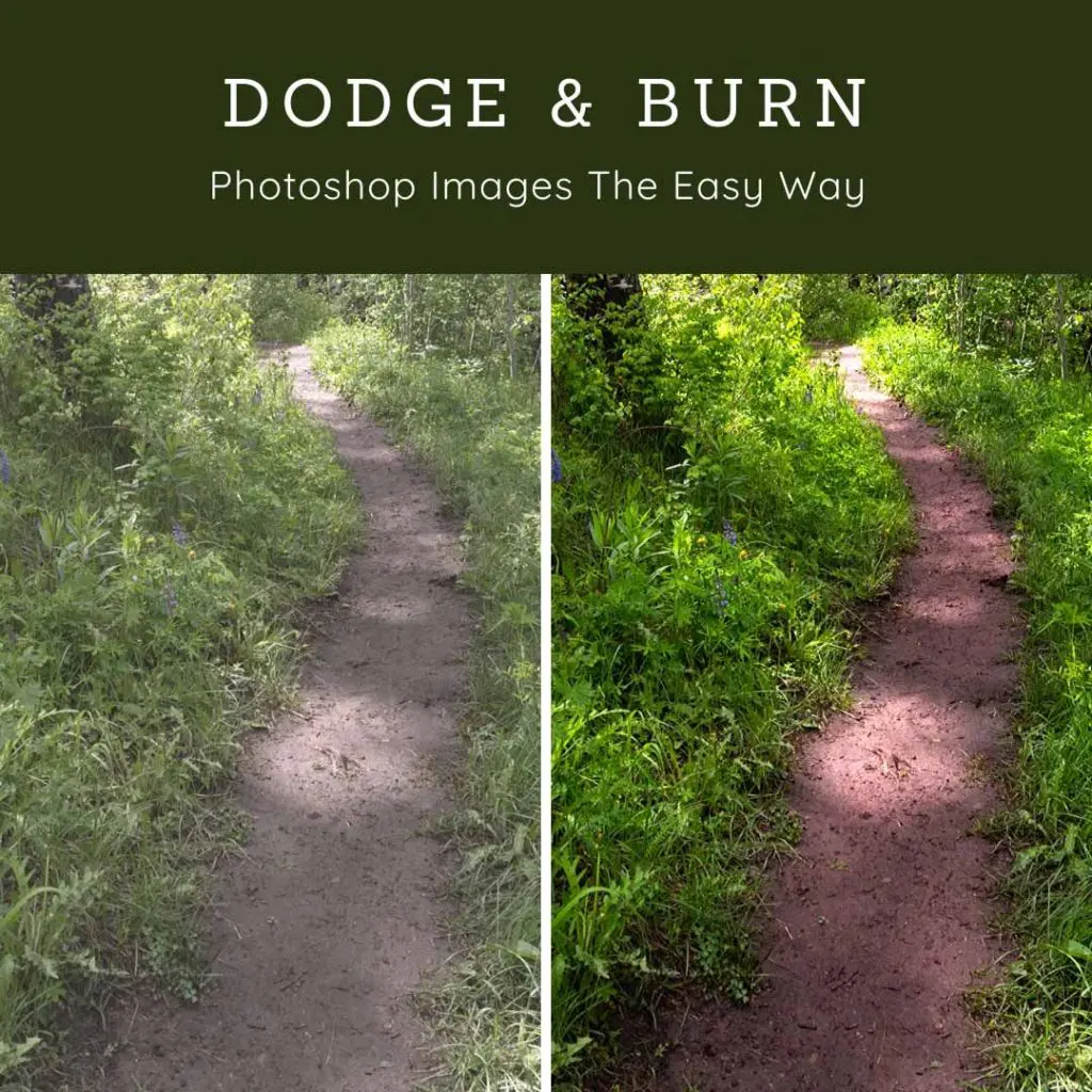 dodge and burn photoshop images