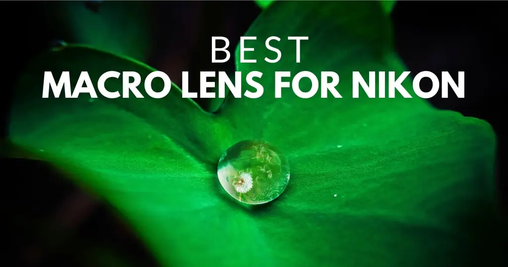 Best Macro Lens For Nikon