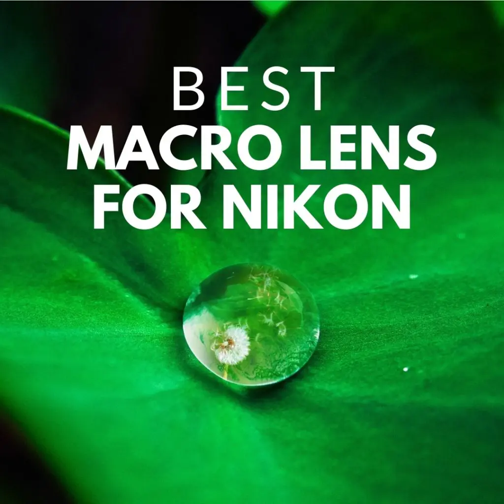 Best Macro Lens For Nikon Featured Image