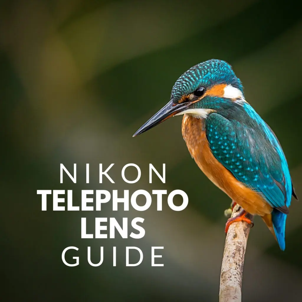 Nikon telephoto lens guide featured image