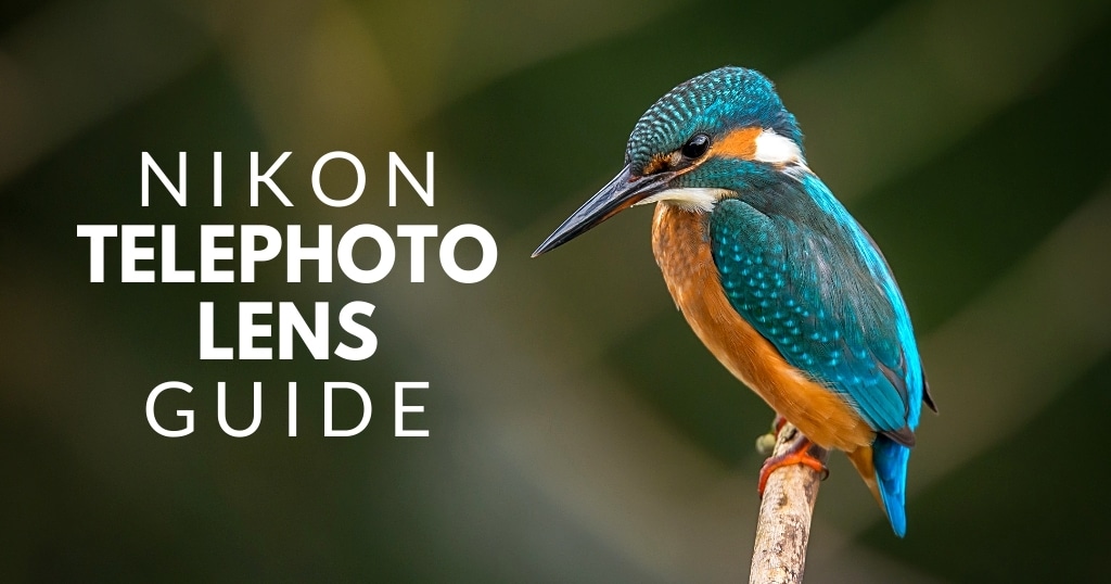 Nikon telephoto lens guide header