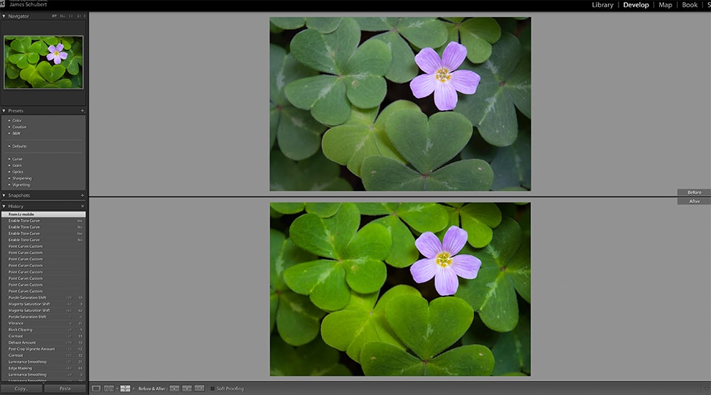 Lightroom Before And After Top Bottom Comparison